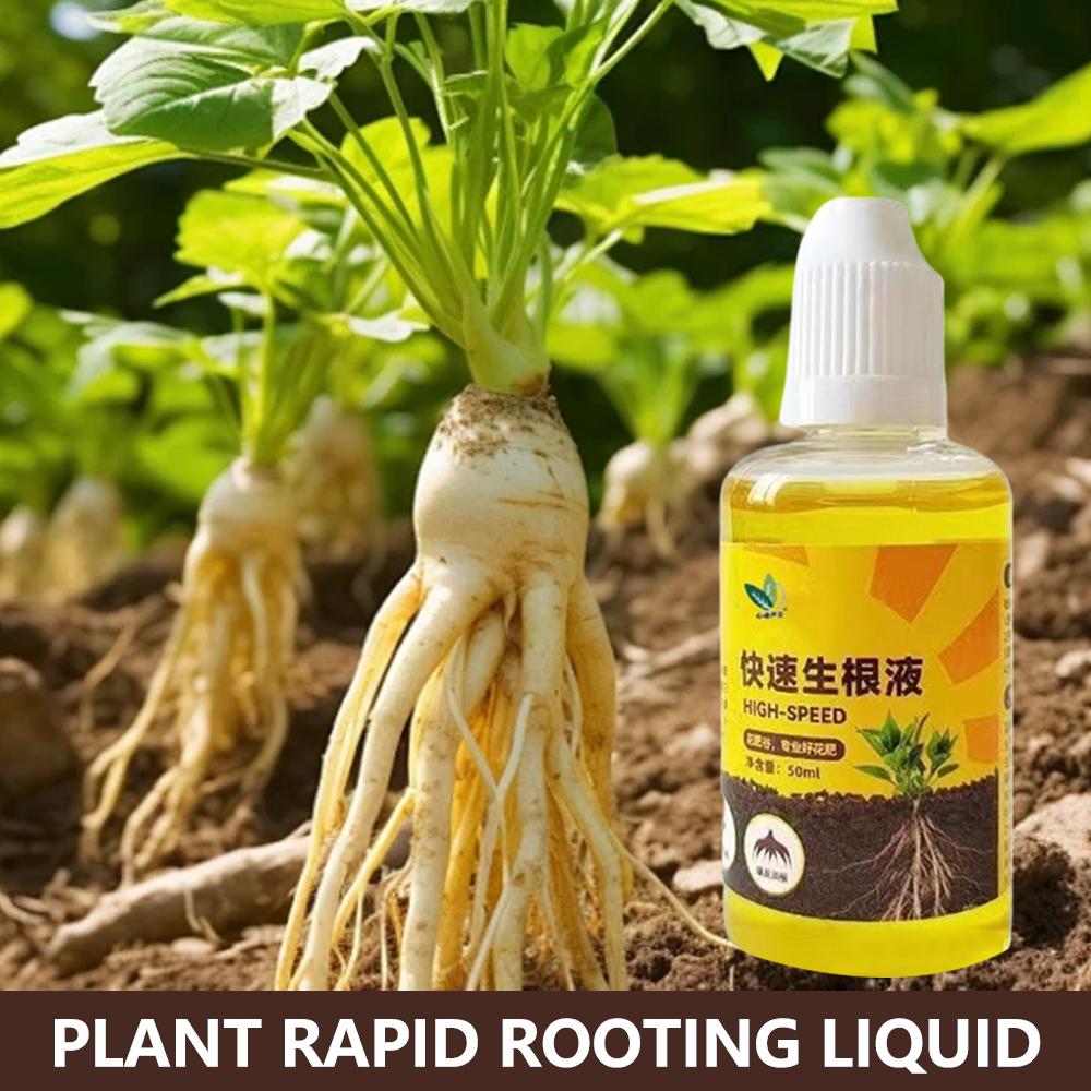 Root Stimulator Liquid - 緑色植物の根刺激剤液体切断発根栄養刺激剤急速発根花促進剤根液 G3X1
