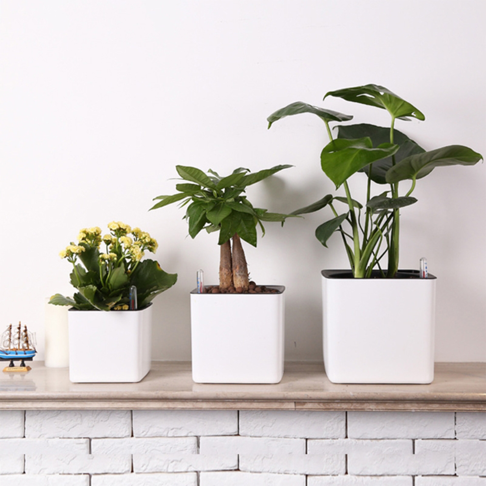 3サイズ展開、自動給水機能付き、緑の観葉植物用、怠惰な植木鉢 - Self Watering Insert のレビューと価格