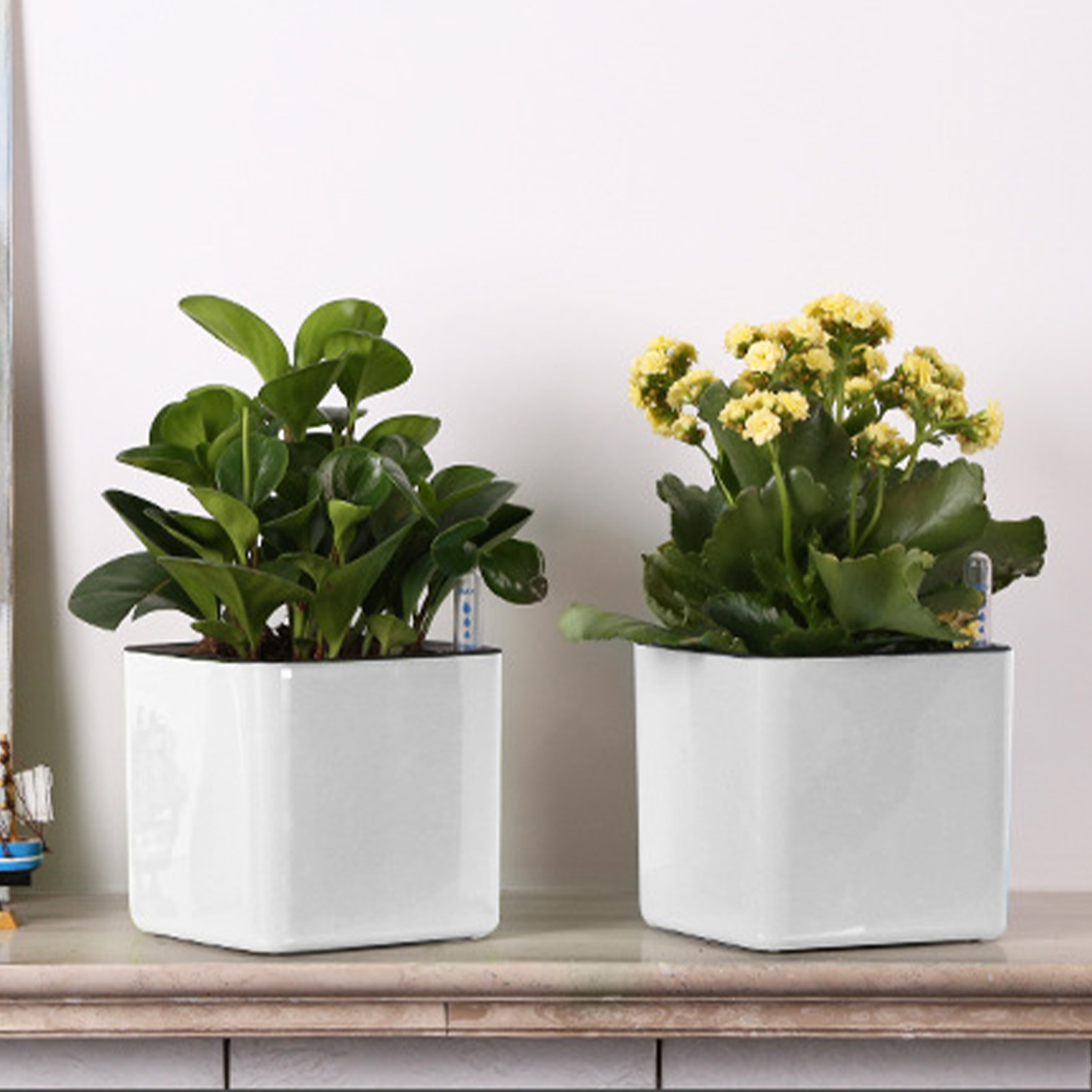 3サイズ展開、自動給水機能付き、緑の観葉植物用、怠惰な植木鉢 - Self Watering Insert のレビューと価格