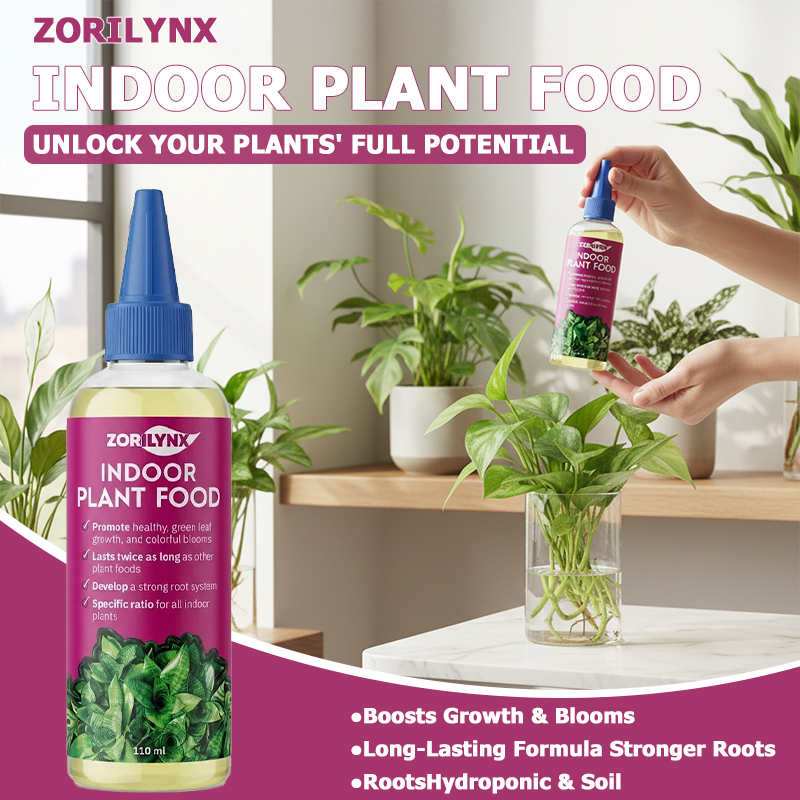 観葉植物用発根促進剤 液体肥料でより速い成長 カラフルな花  - Root Stimulator Liquid のレビューと価格