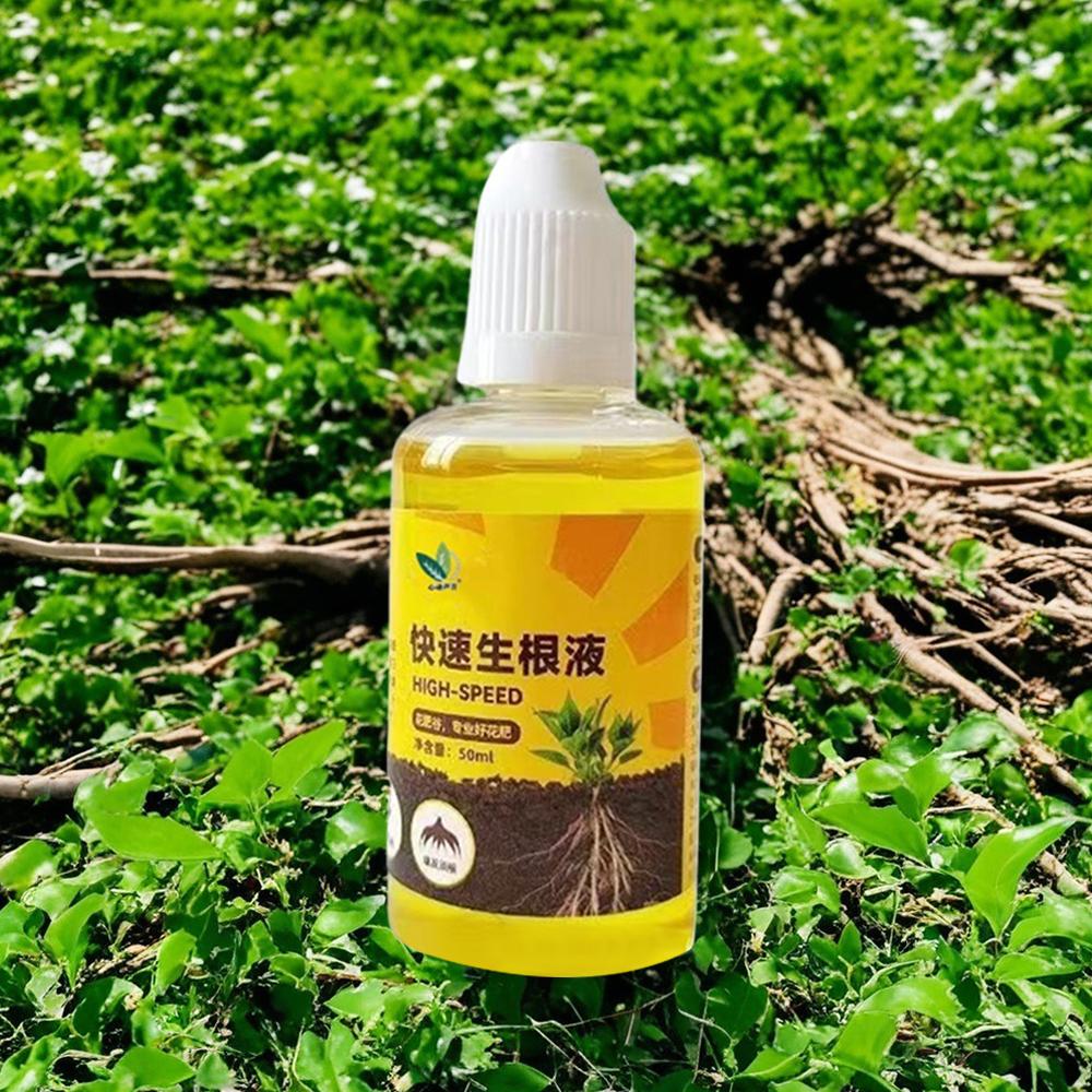 緑色植物の根刺激剤液体切断発根栄養刺激剤急速発根花促進剤根液 - Root Stimulator Liquid のレビューと価格