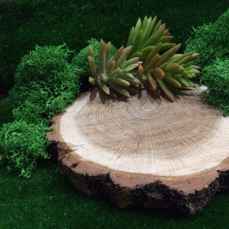 永遠の天然苔,人工植物,庭の装飾,花の素材,diy,マイクロ - Sphagnum Moss Dry のレビューと価格