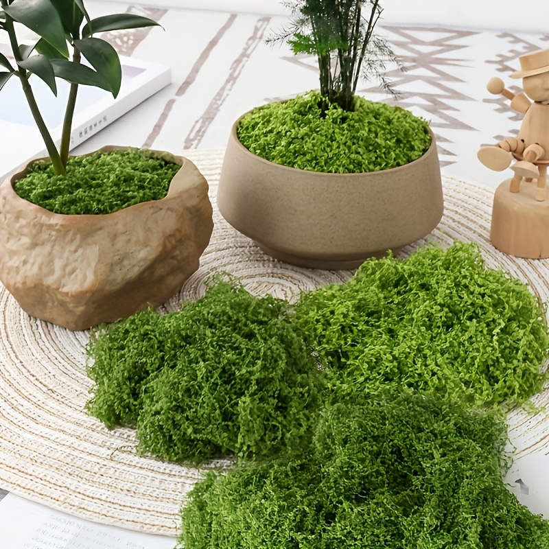大型パックリアル人工苔天然屋外芝生耐久性のある色落ちしない低 - Sphagnum Moss Dry のレビューと価格